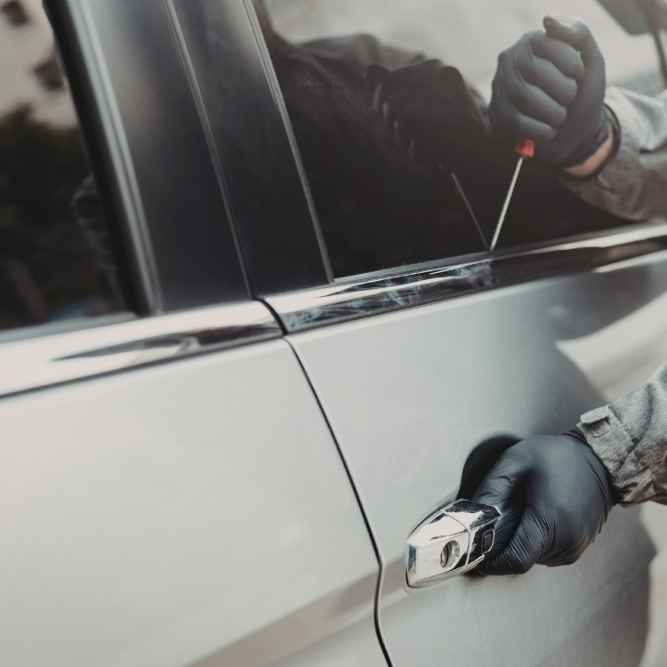 Just another WordPress site